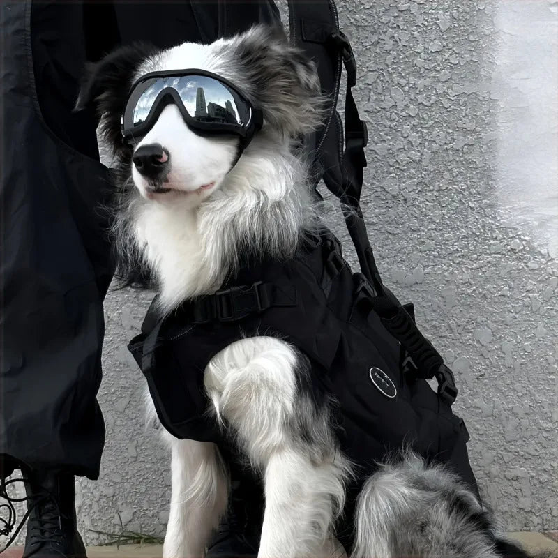 Gafas UV para Perros – Protección Solar Anti-Reflejos