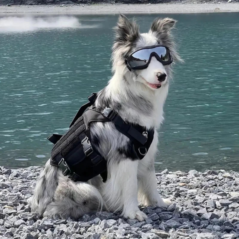 Gafas UV para Perros – Protección Solar Anti-Reflejos