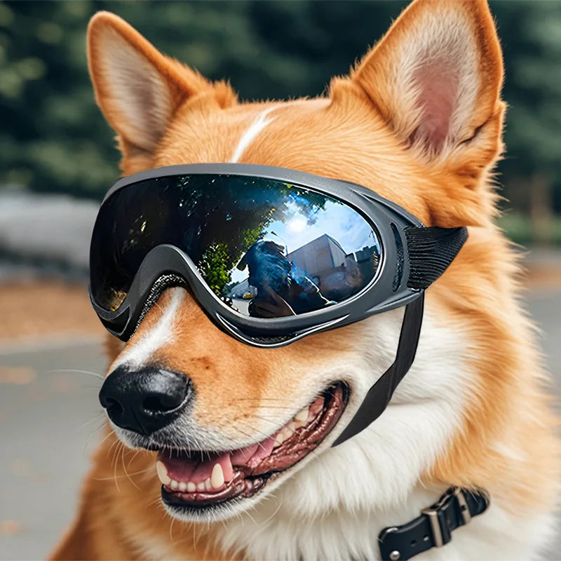 Gafas UV para Perros – Protección Solar Anti-Reflejos